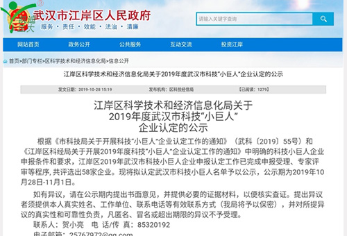 祝贺我司获得江岸区科学技术和经济信息化局2019年度武汉市科技“幼巨人”企业认定
